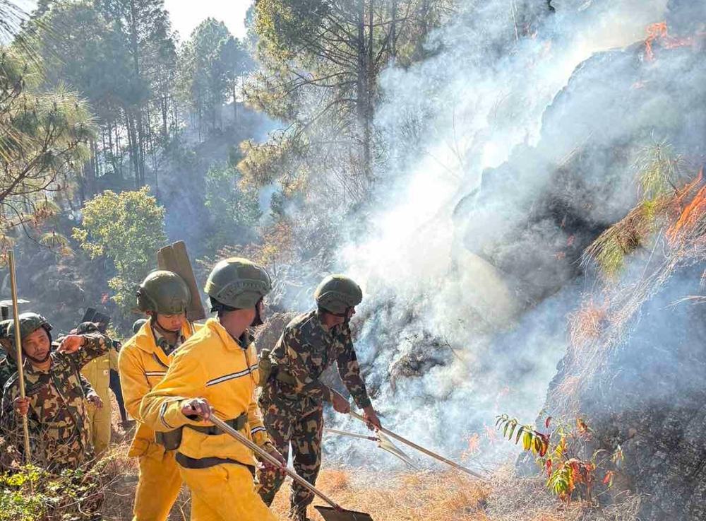 रिब्दीकोट डढेलो : बस्ती जोखिममुक्त, चार सामुदायिक वनमा क्षति