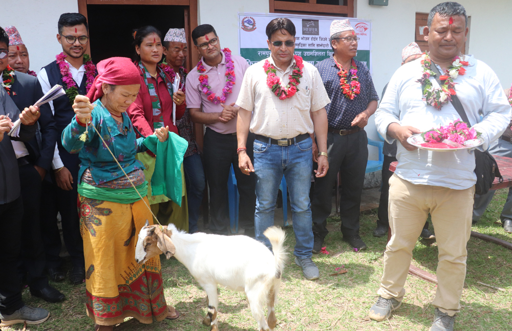 दिदीको बहिनीलाई बाख्रा उपहार