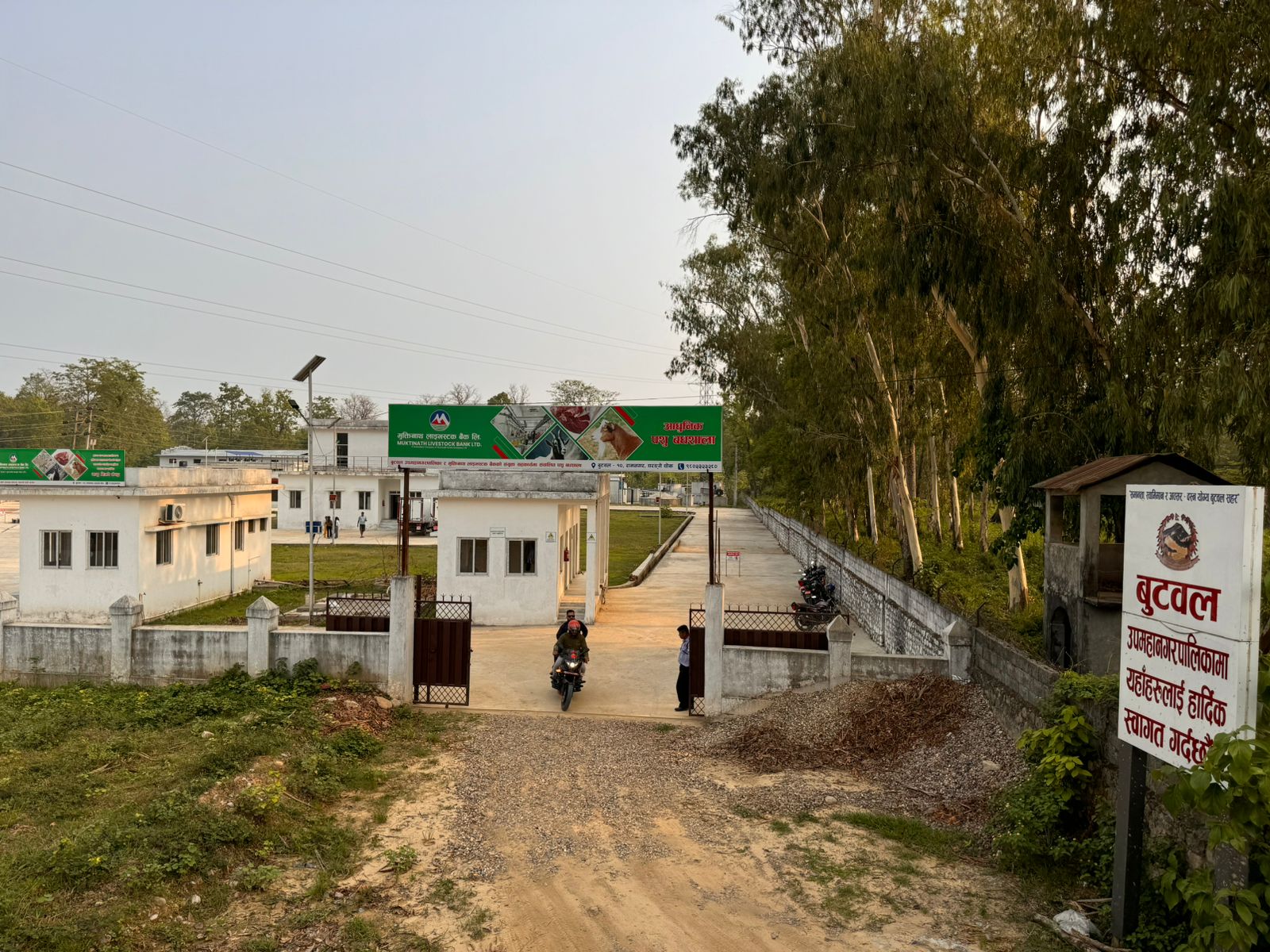 बुटवलका मेयरको नमुना काम : आधुनिक पशु बधशालासँगै मासुु विक्री कक्ष सञ्चालन