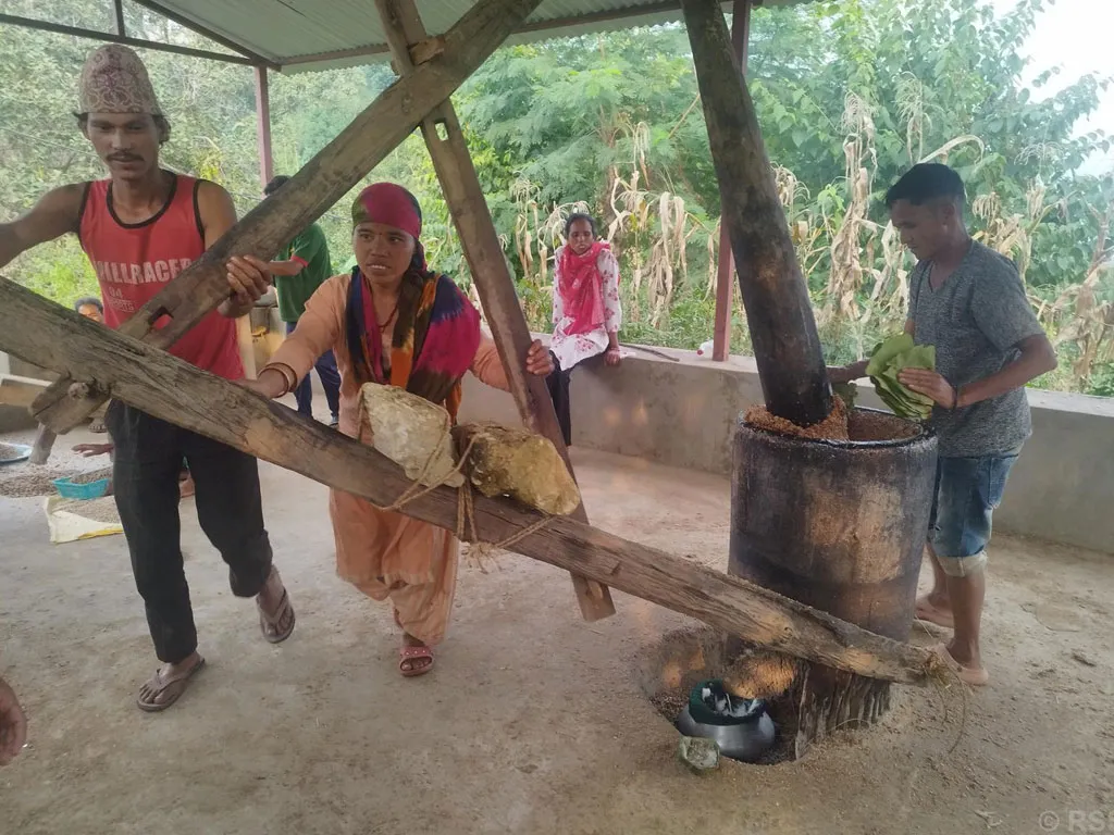 चिउरीको दाना पेलेर घ्यूको जोहो गरिँदै